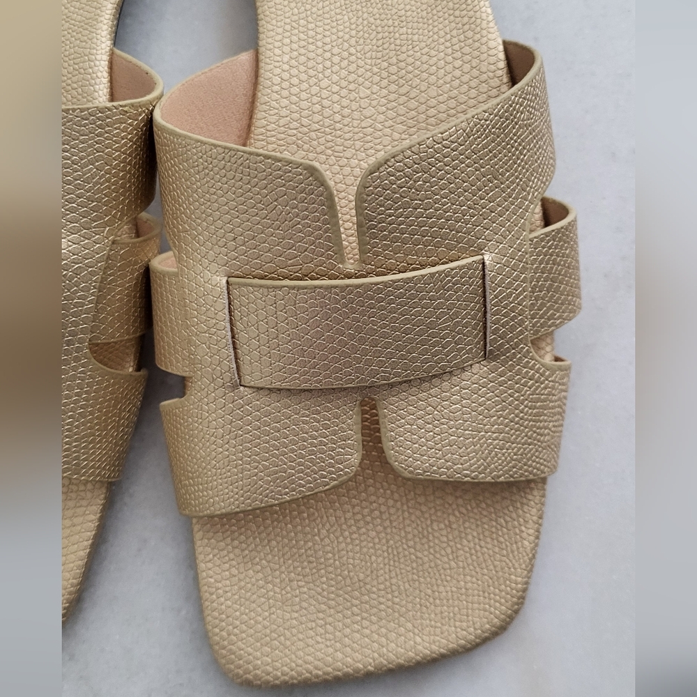 Gold Slides - Picture 5 of 5